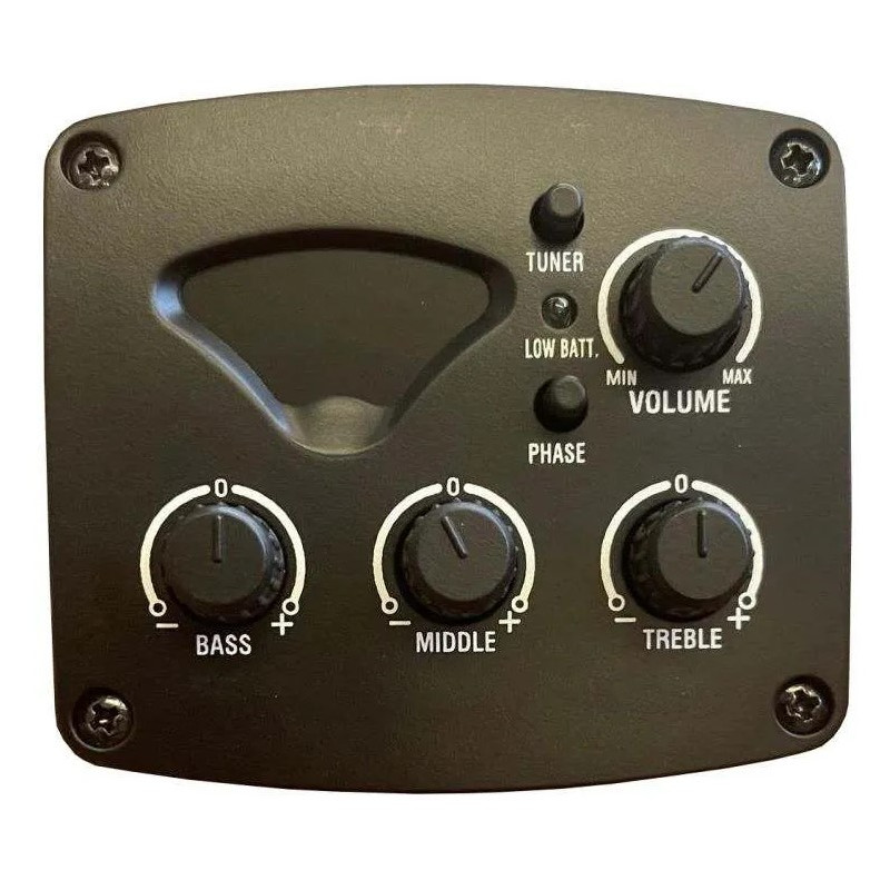 Paco Castillo Mings MG-30 Preamp