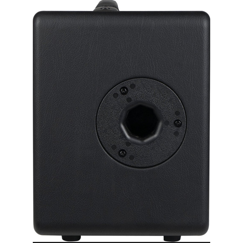 Joyo AC-40S Acoustic Amp
