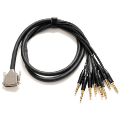 Warm Audio Prem-DB25-TRSm-6' - D-Sub Cable / 8x Male Jack - 1.80m