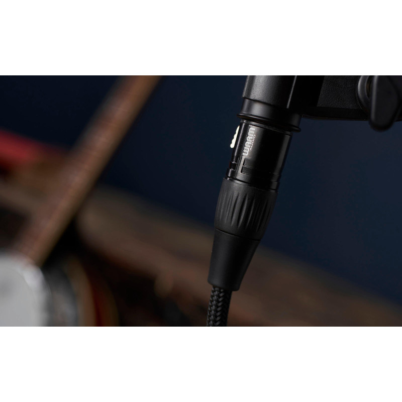 Warm Audio PREM-XLRf-TRSm-6' - Cable XLR/H-JACK/M 1/4 recto - Balanceado - 1,8m