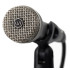 Warm Audio WA-19 BLACK - Microfono Dinamico