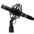 Warm Audio WA-84-C-B - Microfono de Condensador Negro
