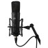 Warm Audio WA-87 R2B Condenser Microphone
