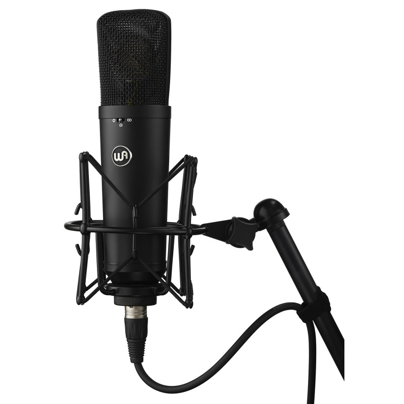 Warm Audio WA-87 R2B Condenser Microphone