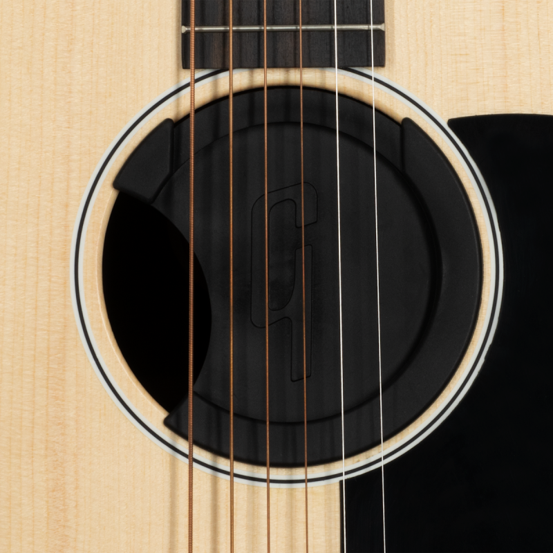 Gibson Anti-Feedback w/Pickup Access