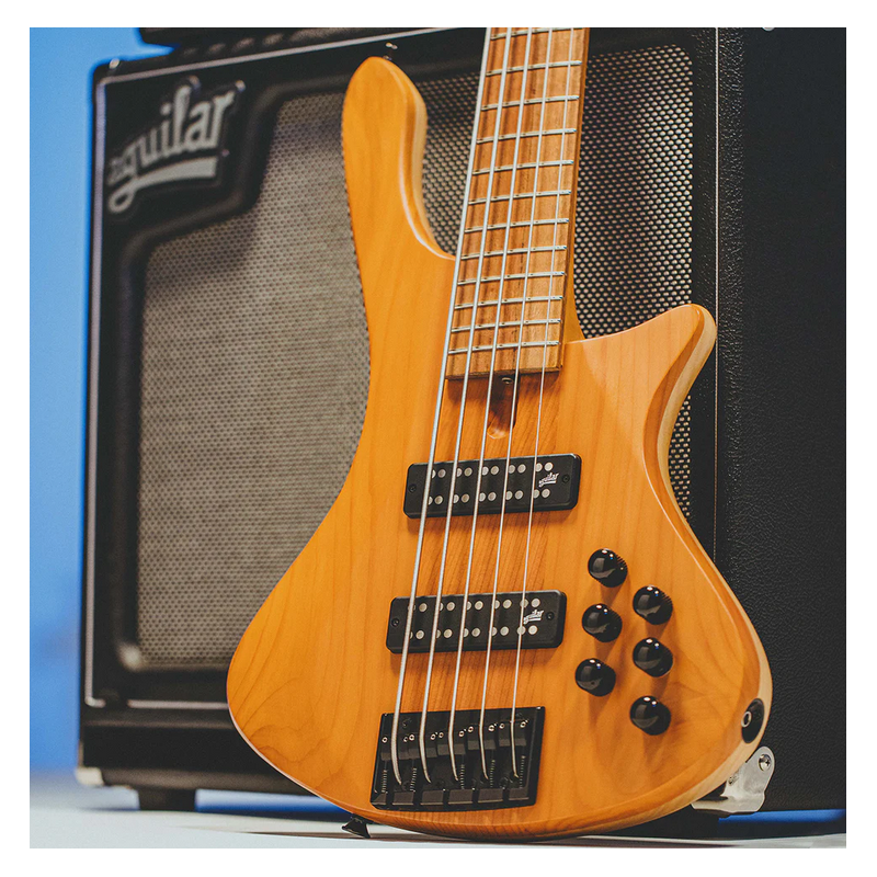 Aguilar Set Pastillas 5 Soapbar D2