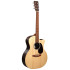 Martin GPCX2E Remastered Sitka/Cocobolo HPL