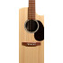 Martin GPCX2E Remastered Sitka/Cocobolo HPL