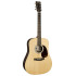 Martin DX2E Billy Strings Signature Sitka/Rosewood HPL