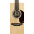 Martin DX2E Billy Strings Signature Sitka/Rosewood HPL