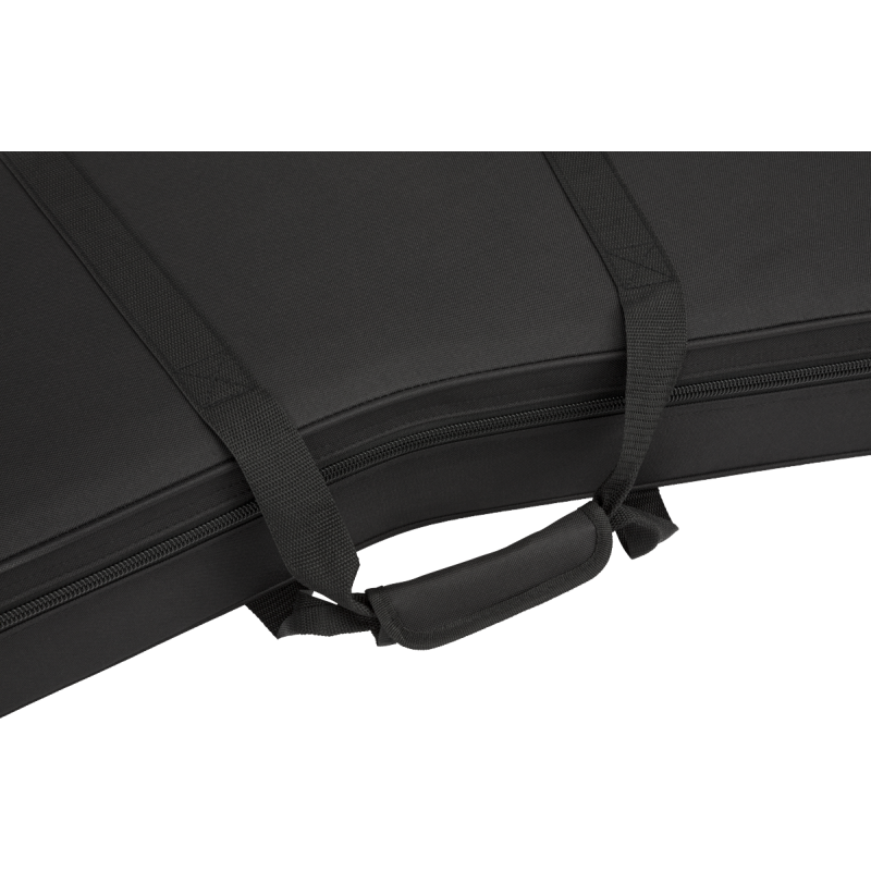 Jackson Foam King V Case
