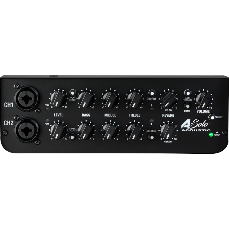 Laney A-Solo Acoustic Amp 60w