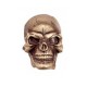 skull-gold.jpg