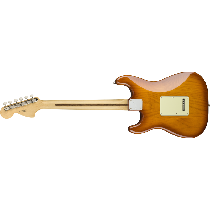 Fender American Performer Stratocaster RW HBST