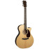 Martin Grand Performance GPC-16E Rosewood