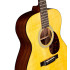 Martin OM21 Standard