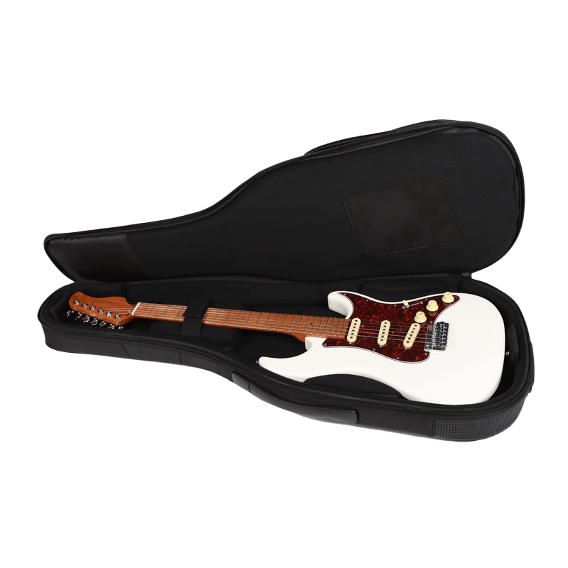 Larry Carlton Electric Guitar Bag G5