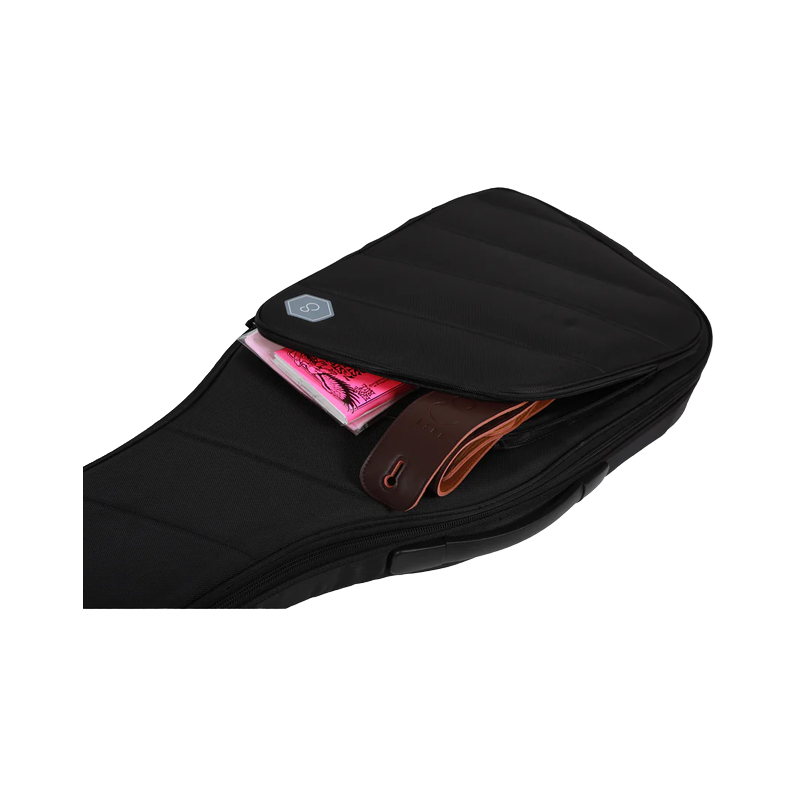 Larry Carlton Funda Guitarra Electrica G5