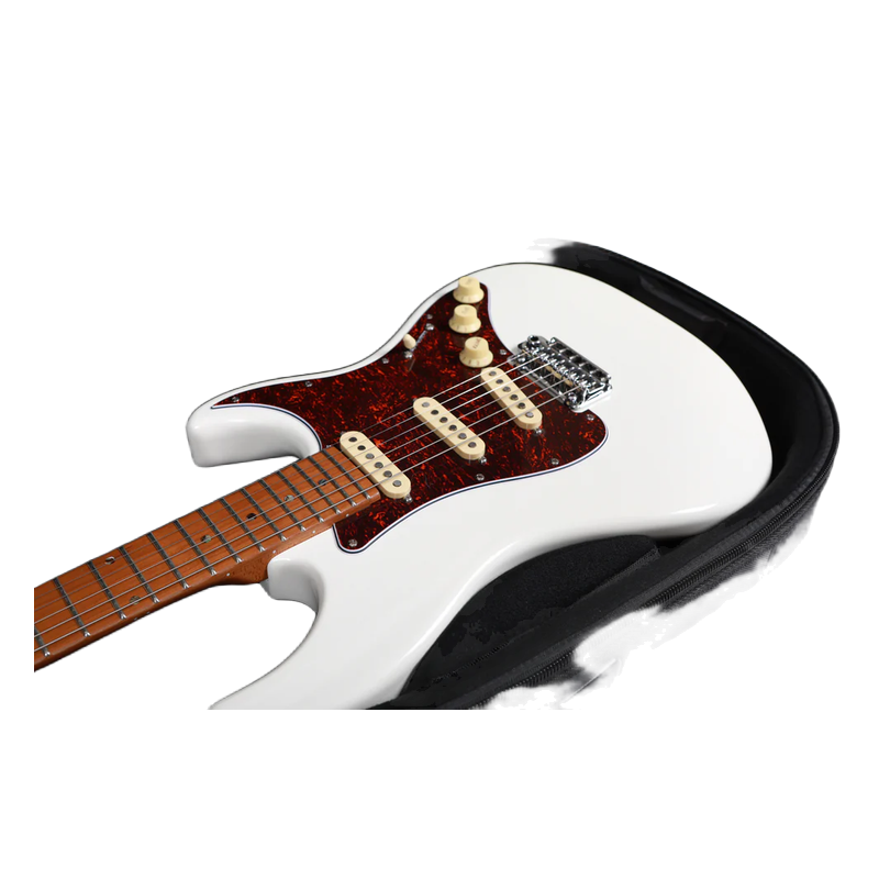 Larry Carlton Electric Guitar Bag G5