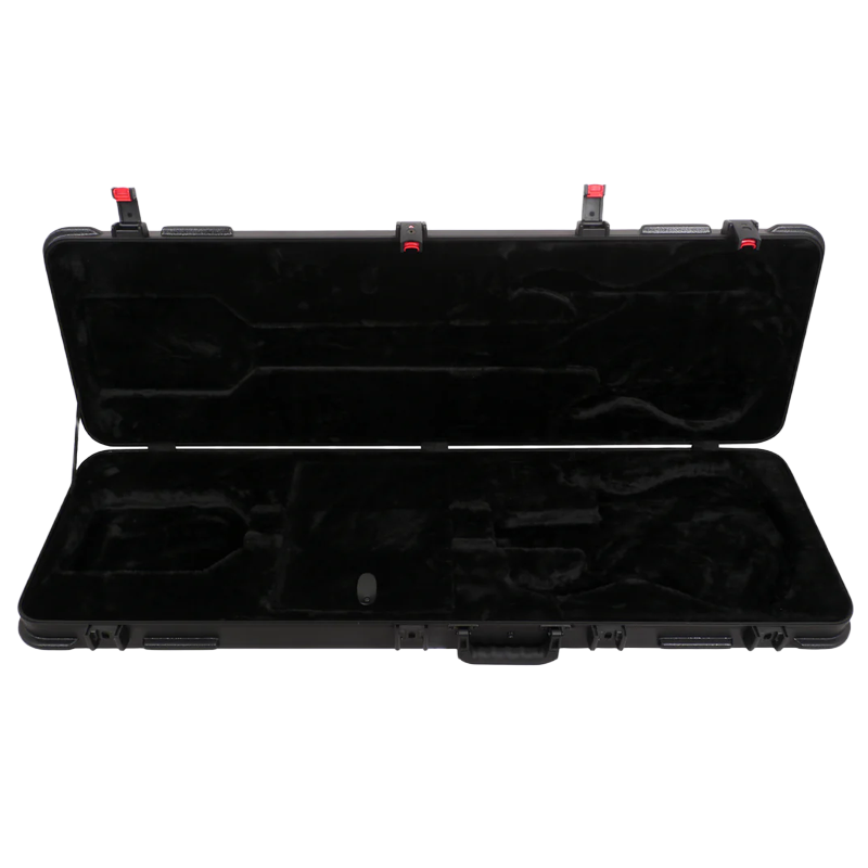Larry Carlton Electric Guitar Case S, T