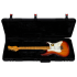 Larry Carlton Electric Guitar Case S, T