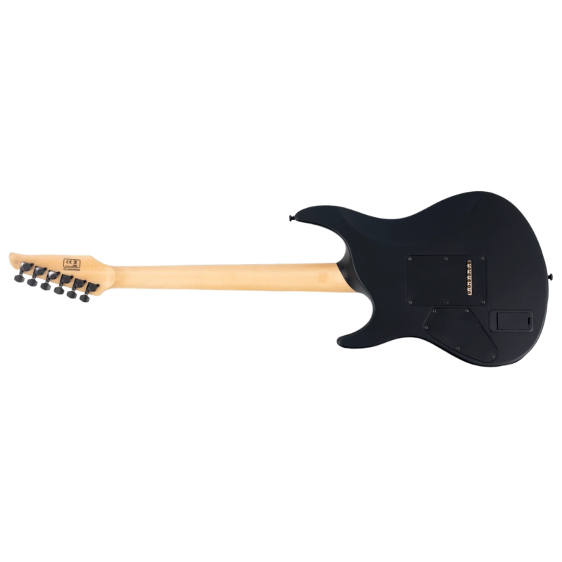 Larry Carlton Y10 Black Satin