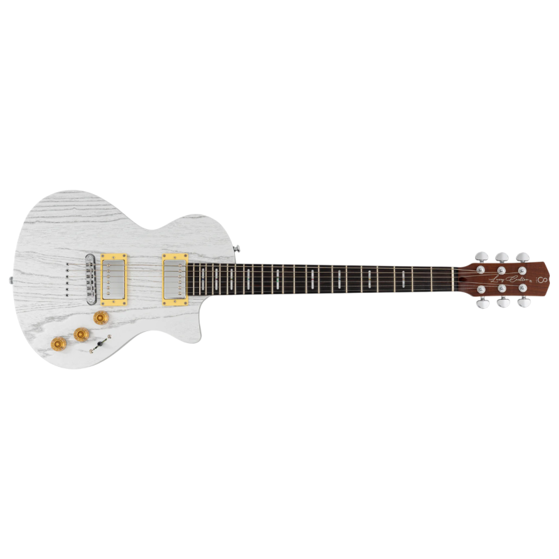 Larry Carlton I5H I.Silver