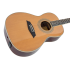 Larry Carlton A3 Parlor Natural