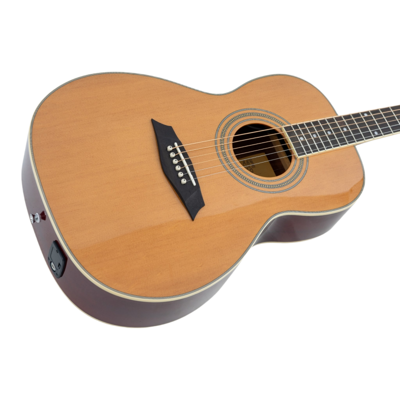 Larry Carlton A3 Parlor Natural