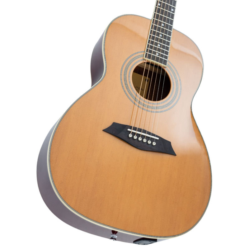 Larry Carlton A3 Parlor Natural