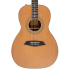 Larry Carlton A3 Parlor Natural