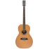 Larry Carlton A3 Parlor Natural