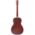 Larry Carlton A3 Parlor Natural