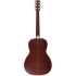 Larry Carlton A4 Parlor Natural