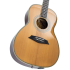 Larry Carlton A4 Parlor Natural