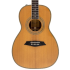 Larry Carlton A4 Parlor Natural