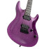 Larry Carlton Y10 Purple Sparkle