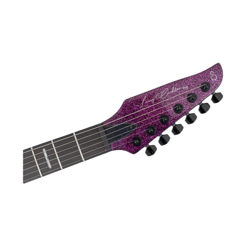 Larry Carlton Y10 Purple Sparkle