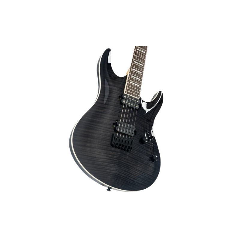 Larry Carlton Y5 Trans Black