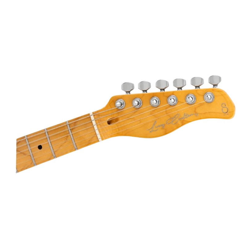 Larry Carlton T7 New Gen Skyburst Sparkle MN