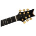Larry Carlton Q7 Black