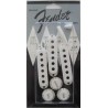 Fender Pure Vintage 50s Stratocaster Kit