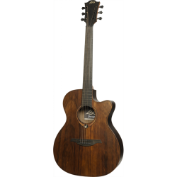 Lag Sauvage Auditorium Cutaway