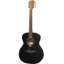 Lag T70A Black Satin