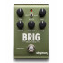 Strymon Brig Delay
