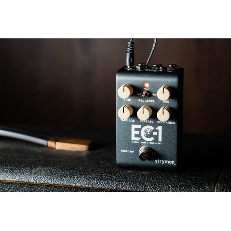 Strymon EC-1 Single Head Delay