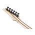 Ibanez RG5121RETPRT Polar Lights