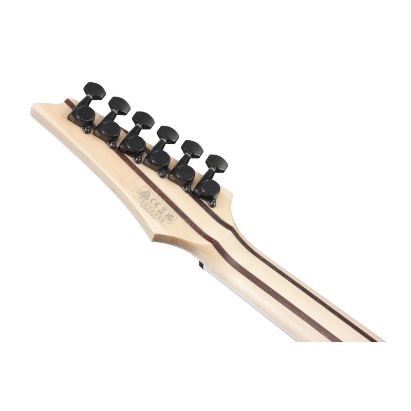 Ibanez RG5121RETPRT Polar Lights