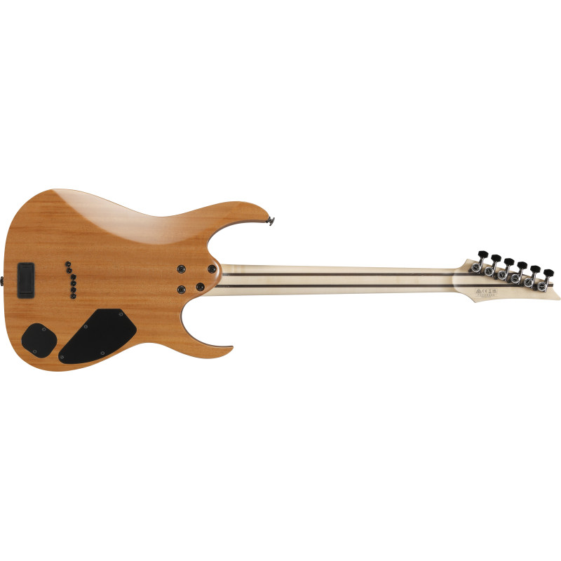 Ibanez RG5121RLDBF Dark Tide Blue Flat
