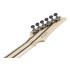 Ibanez RG5121RLDBF Dark Tide Blue Flat